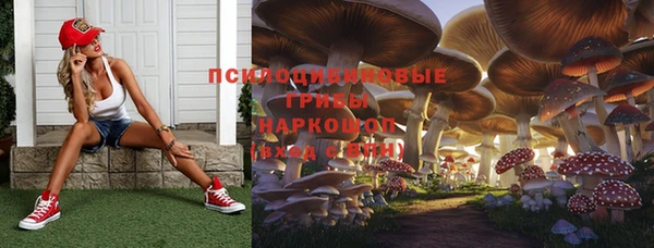 спайс Баксан