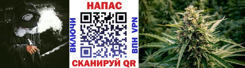 Конопля Amnesia  где купить наркоту  Белово 